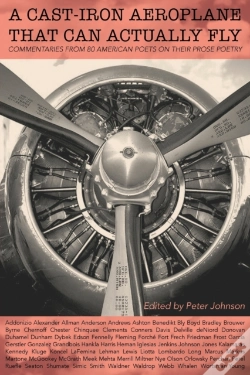 Capa do artigo A Cast-Iron Aeroplane That Can Actually
