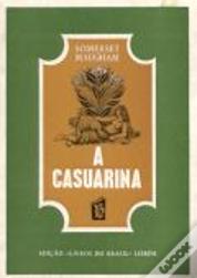 A Casuarina