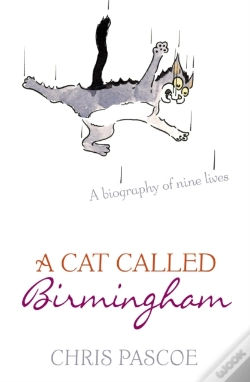 Capa do artigo A Cat Called Birmingham