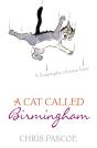 A Cat Called Birmingham - Preview