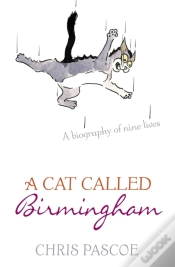 Capa do artigo A Cat Called Birmingham