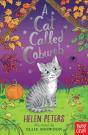 A Cat Called Cobweb - Preview