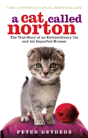 A Cat Called Norton - Preview