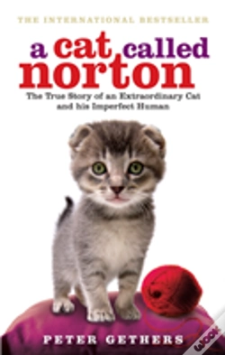 Capa do artigo A Cat Called Norton