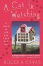 A Cat Is Watching: A Look At The Way Cat - Preview