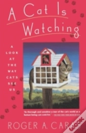 Capa do artigo A Cat Is Watching: A Look At The Way Cat