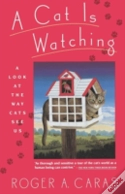 Capa do artigo A Cat Is Watching: A Look At The Way Cat
