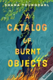Capa do artigo A Catalog Of Burnt Objects