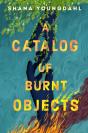 A Catalog Of Burnt Objects - Preview