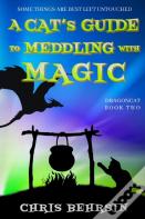 A Cat'S Guide To Meddling With Magic