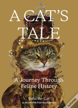 Capa do artigo A Cat'S Tale