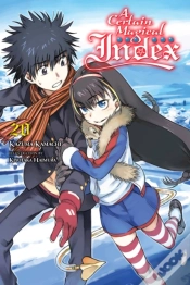 Capa do artigo A Certain Magical Index, Vol. 20 (Light Novel)
