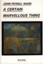 A Certain Marvellous Thing - Preview