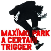 Capa do artigo A Certain Trigger - Vinil