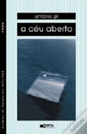 Capa do artigo A Céu Aberto