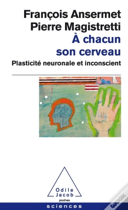 Capa do artigo A Chacun Son Cerveau
