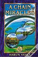 A Chain Of Miracles