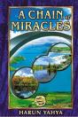 A Chain Of Miracles - Preview