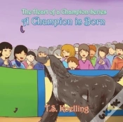 Capa do artigo A Champion Is Born