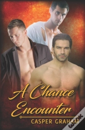 Capa do artigo A Chance Encounter