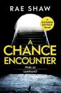 A Chance Encounter - Preview