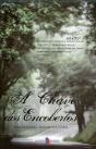 A Chave dos Encobertos - Preview