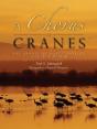 A Chorus Of Cranes - Preview