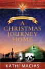 A Christmas Journey Home - Preview