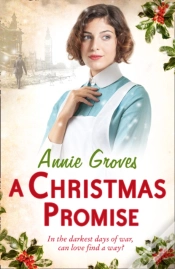 Capa do artigo A Christmas Promise
