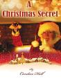 A Christmas Secret - Preview