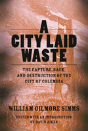A City Laid Waste - Preview