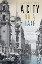 A City On A Lake - Preview
