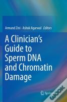 A Clinician'S Guide To Sperm Dna And Chromatin Damage