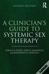 A Clinician'S Guide To Systemic Sex Therapy