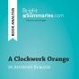 A Clockwork Orange By Anthony Burgess (Book Analysis) - Preview