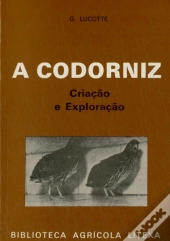 A Codorniz