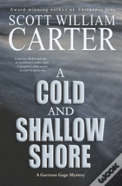 Capa do artigo A Cold And Shallow Shore