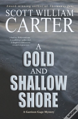 Capa do artigo A Cold And Shallow Shore