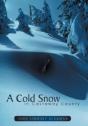 A Cold Snow In Castaway County - Preview