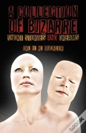 Capa do artigo A Collection Of Bizarre Short Stories And Dreams