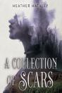 A Collection Of Scars - Preview