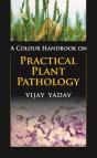 A Colour Handbook On Practical Plant Pathology - Preview