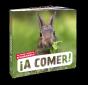 A Comer - Preview