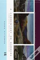 A Commentary On Numbers
