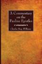 A Commentary On The Pauline Epistles - Preview