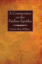 A Commentary On The Pauline Epistles - Preview