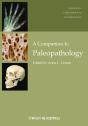 A Companion To Paleopathology - Preview