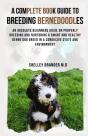 A Complete Book Guide To Breeding Bernedoodles - Preview