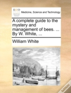 Capa do artigo A Complete Guide To The Mystery And Mana