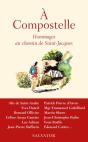 À Compostelle ; Hommages Au Chemin De Saint-Jacques - Preview